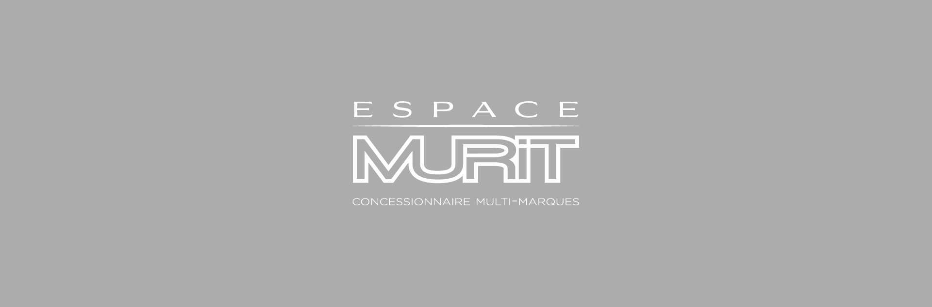 Espace Murit Concessionnaire Multimarques Chatillon